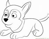 Paw Patrol Coloring Sylvia Pages Coloringpages101 Printable Color Coloringonly Print Big Sheet sketch template