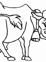 Kuh Koeien Topkleurplaat Natuurlijk Koe Ausmalbild Kalfjes Noemen Wist Trouwens Ook Dat sketch template