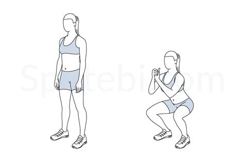Squat Illustrated Exercise Guide Workout Guide Squat Workout Exercise