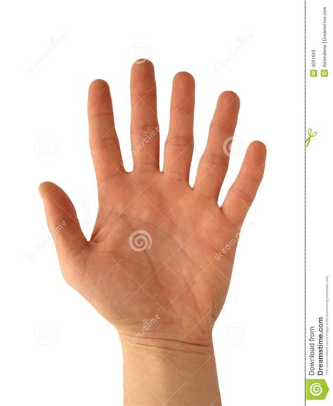 Hand With Six Fingers Stock Image Image Of