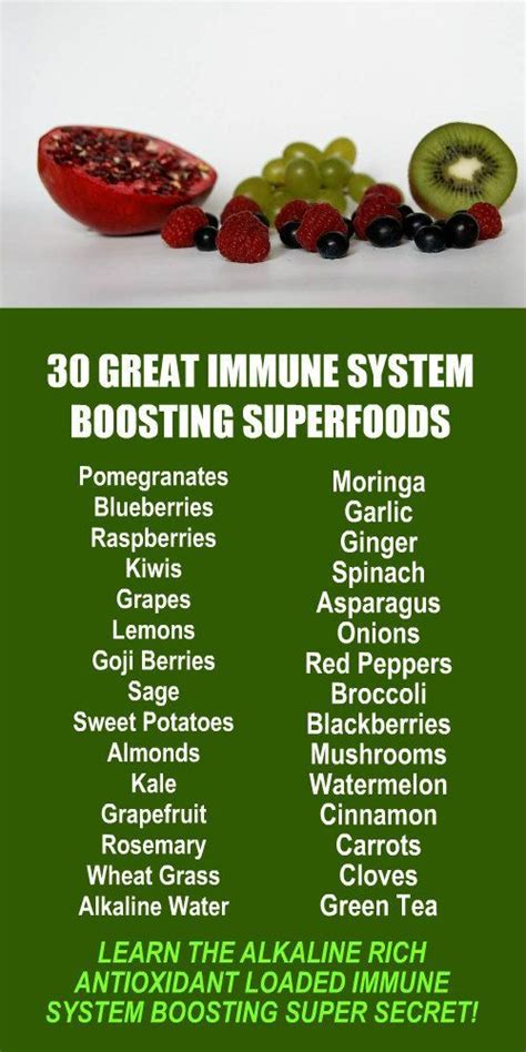 great immune system boosting superfoods learn