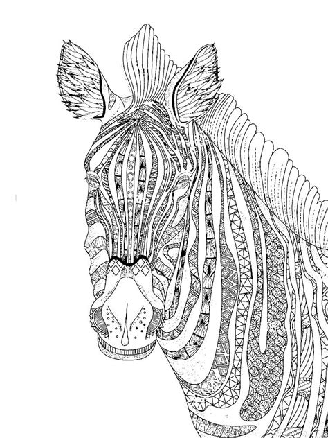 zentangle zebra coloring pages