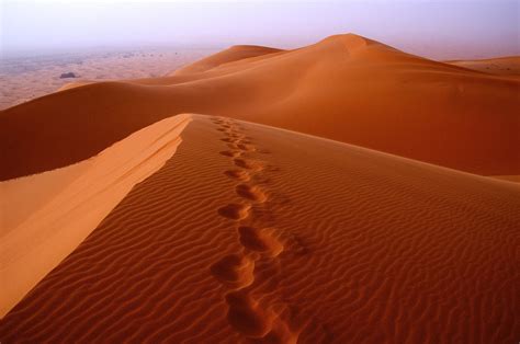 sand hammams   sand bath   sahara desert