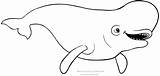 Dory Beluga Procurando Stampare Cartone Buscando Balena Meglio Balene Impressão Cartonionline sketch template