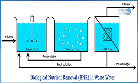 biological nutrient removal netsol water