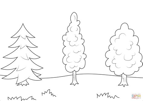 coloring pages trees coloring print