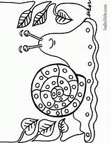 Snail Caracol Schnecke Caracoles Ausdrucken Colorir Slug Malvorlagen Slak Kleurplaten Animales Hellokids Escargot Desenhos Caracola Juf Acw Automne Animaux Freigeben sketch template