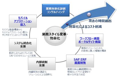 基幹システムソリューション for sap mki （三井情報株式会社）
