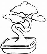 Bonsai 559f B160 Coloring Pages sketch template