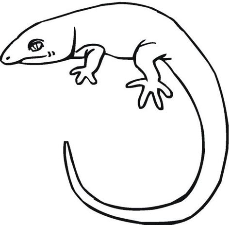 reptile coloring pages  coloring pages  kids iguana reptile