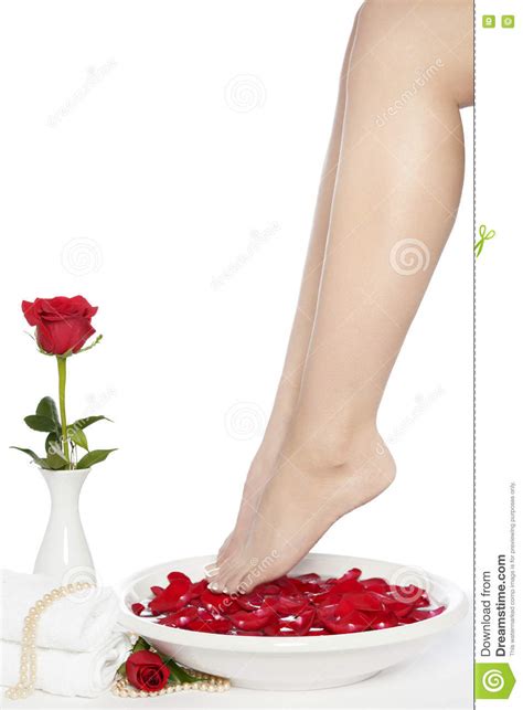 spa pedicure set feet  ceramic white bowl  red rose stock photo