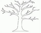 Coloring Printable Tree Leaves Without Kids Leaf Outline sketch template