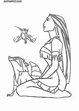 Pocahontas Raccoon Hummingbird sketch template