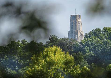 pitt suspends sorority amid allegations of hazing pittsburgh post gazette