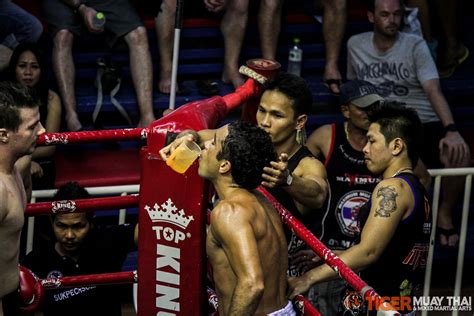 fighting thai tiger muay thai and mma training camp guest fights march