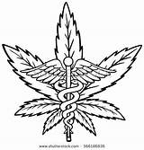 Leaf Coloring Hemp Cannabis Drawing Weed Marijuana Getdrawings Color Drawings Template Leaves sketch template