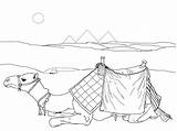 Camel Coloring Pages Lying Down Coloringbay sketch template