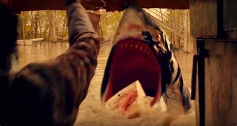 Trailer Park Shark Movie Monster Wiki Fandom