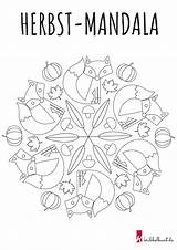 Herbst Ausdrucken Fuchs Vorlage Mandalas Kribbelbunt Vorlagen sketch template