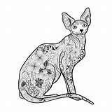 Sphynx Cat Doodle Illustration Stock Preview Depositphotos Vector sketch template