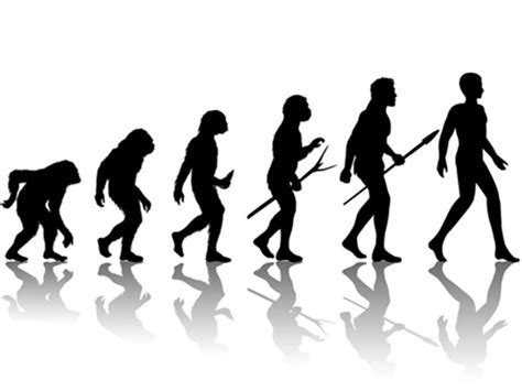 evolution misconceptions explained