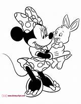 Minnie Mouse Coloring Pages Bunny Disney Gif Mickey Omalovánky Disneyclips Colouring Mandala Rabbit 1022 Color Holding Animal Friends Book Riscos sketch template