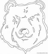 Coloring Bear Track Template sketch template
