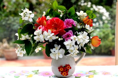 mesaje de florii cu imagini top cele mai frumoase mesaje de florii  xxx hot girl