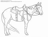 Western Horse Saddle Coloring Drawing Pages Bending Pole Barrel Racing Riding Clipart Lineart Drawings Tack Rearing Book Getdrawings Bit Webstockreview sketch template