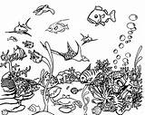 Coloring Pages Ocean Kids Sea Printable Animal Animals Drawing Visit Life Draw sketch template