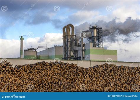 paper  pulp mill stock image image  timber field