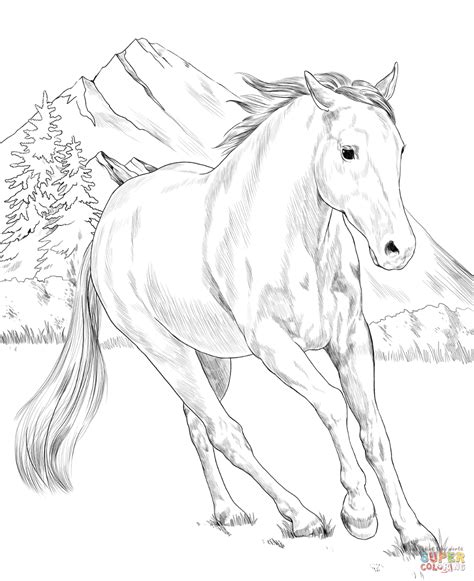 american paint horse coloring page  printable coloring pages