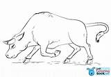 Bull Cattle Bulls sketch template