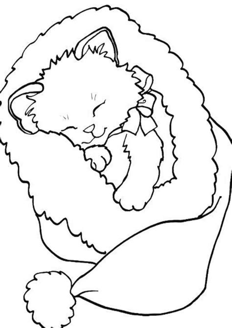 easy  print baby animal coloring pages tulamama