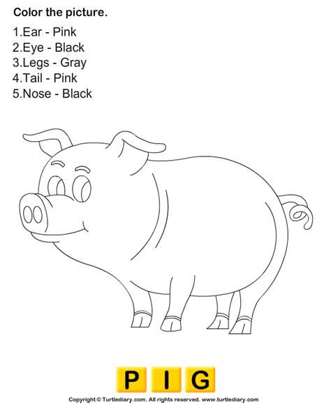 color pig turtle diary worksheet