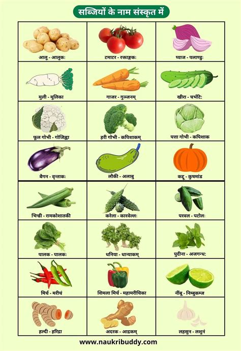 vegetable chart sanskrit hindi  creator names vegetables