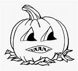 Year Coloring Olds Pages Halloween Pumpkin Drawing Printable Cute Color Kids Old Faces Cartoon Childrens Drawings Draw Worksheet Easy Clipartmag sketch template