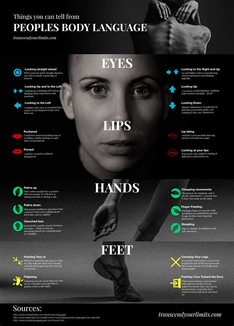 body language infographic shows   people  transcend