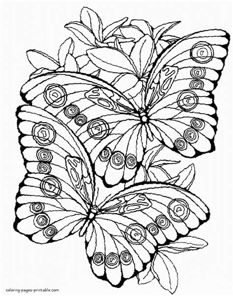 cute butterflies coloring pages
