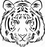 Tiger Outline Head Drawing Vector Royalty Pic Getdrawings sketch template