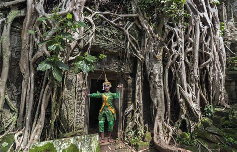 ta prohm temples guide opening hours entrance fees