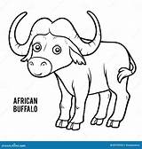 Buffle Africain Afrikaanse Kleurend Buffels Karakter sketch template