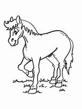 Coloring Pages Horse Horses Para Caballos Imprimir Colouring Drawings Gif Animal Riding sketch template