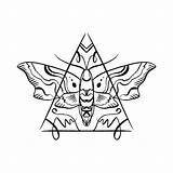 Antistress Hawk Moth sketch template
