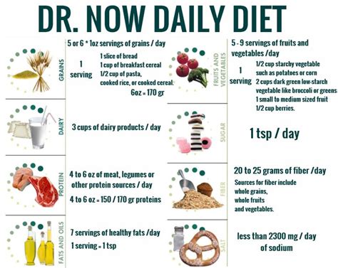 dr nowzaradan  calorie diet plan  google search