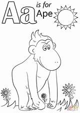 Coloring Letter Ape Pages Printable Alphabet Preschool Supercoloring Color Letters Drawing Crafts Kids Worksheets Visit Colors Animals sketch template