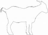 Goat Silhouette Outline Vector Silhouettes Drawing Coloring Pages sketch template