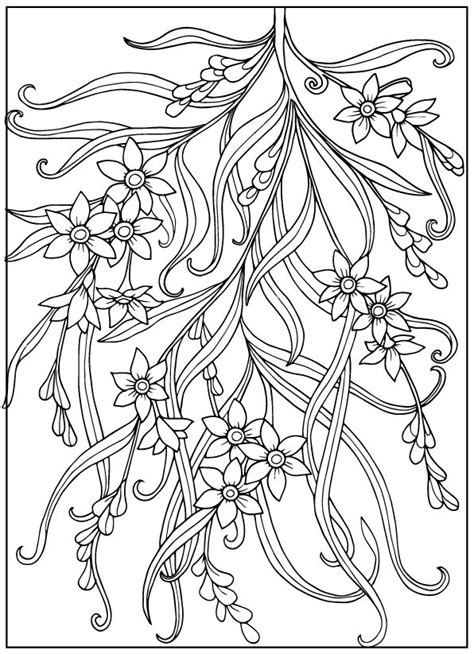 images  adult coloring pages  pinterest dovers