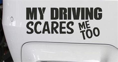 funny bumper stickers  dont  everyday