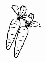Carrot Coloring Pages Vegetables Radish Printable Kids Nose Color Bunny Getcolorings Getdrawings sketch template